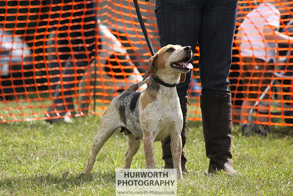 Sedgefield Game Fair 125