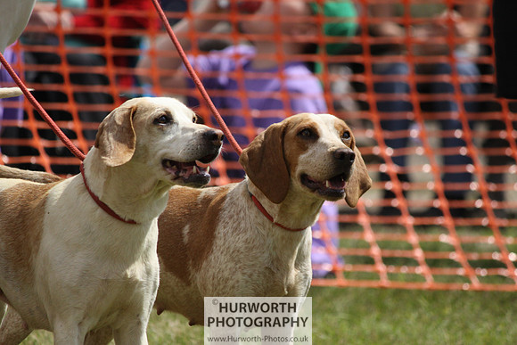 Sedgefield Game Fair 127