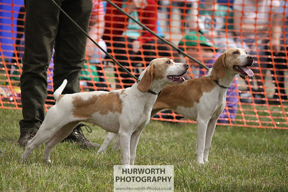 Sedgefield Game Fair 143