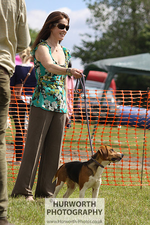 Sedgefield Game Fair 145