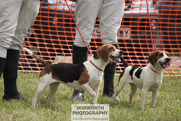 Sedgefield Game Fair 148