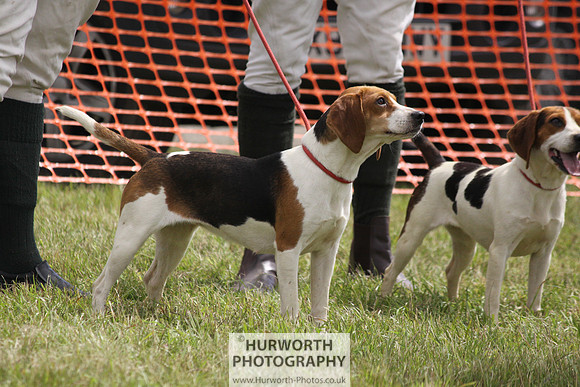 Sedgefield Game Fair 149