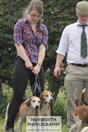 Sedgefield Game Fair 151