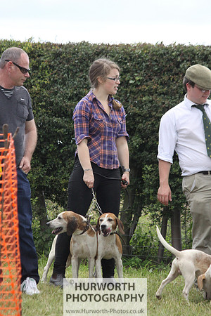 Sedgefield Game Fair 152