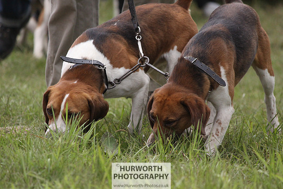 Sedgefield Game Fair 153