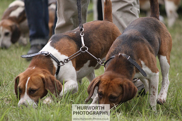 Sedgefield Game Fair 154