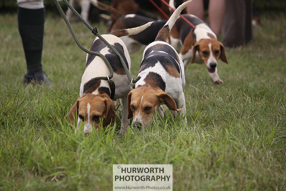 Sedgefield Game Fair 157