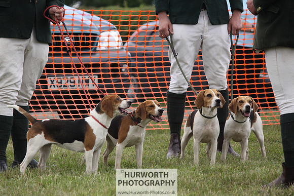 Sedgefield Game Fair 160