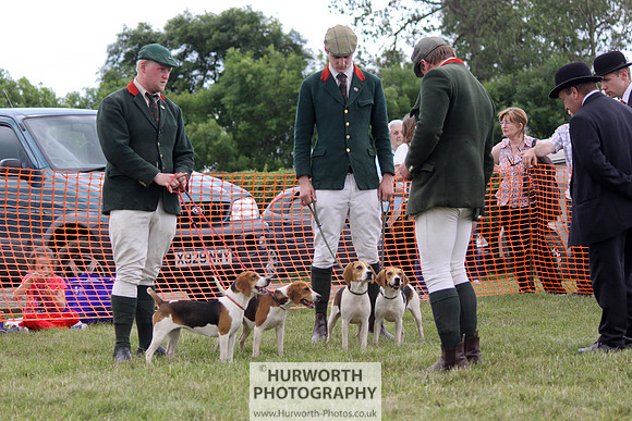 Sedgefield Game Fair 161