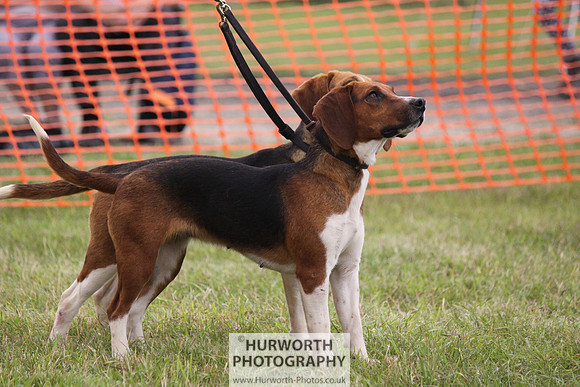Sedgefield Game Fair 163