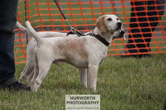 Sedgefield Game Fair 167