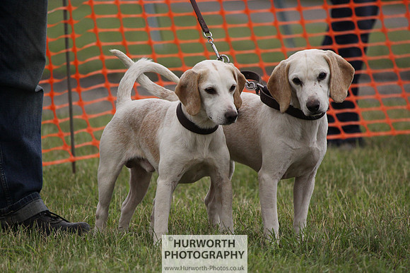 Sedgefield Game Fair 168