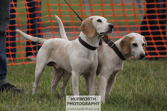 Sedgefield Game Fair 169