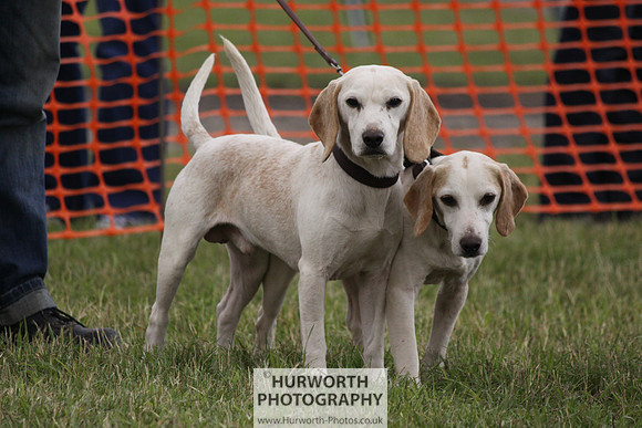 Sedgefield Game Fair 170