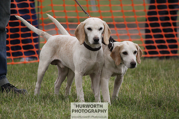 Sedgefield Game Fair 171