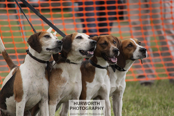 Sedgefield Game Fair 175