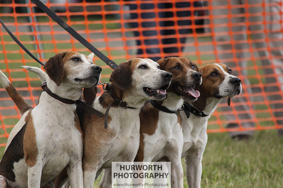 Sedgefield Game Fair 176