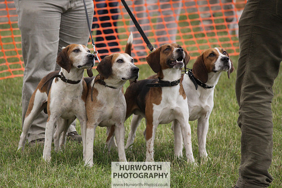 Sedgefield Game Fair 182
