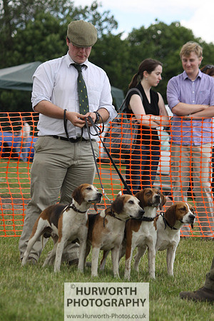 Sedgefield Game Fair 184