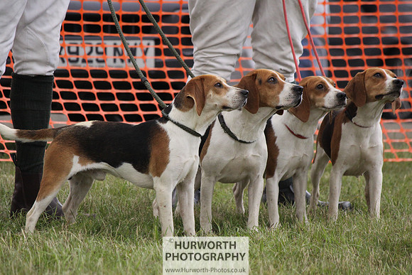 Sedgefield Game Fair 187
