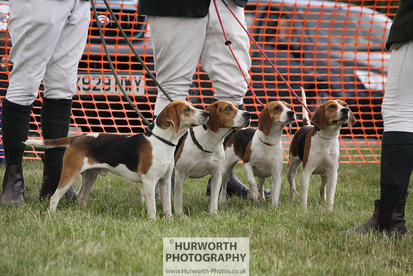 Sedgefield Game Fair 188