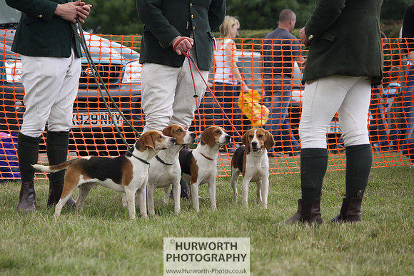 Sedgefield Game Fair 189