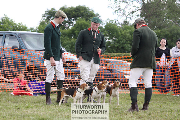 Sedgefield Game Fair 190