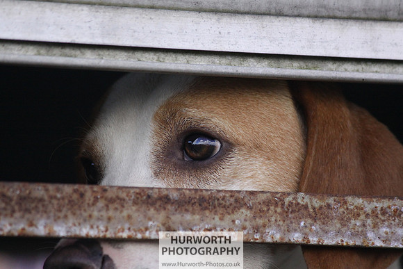 Sedgefield Game Fair 006