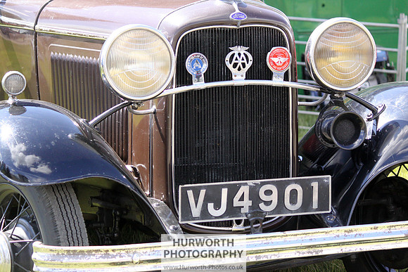 Sedgefield Game Fair 014