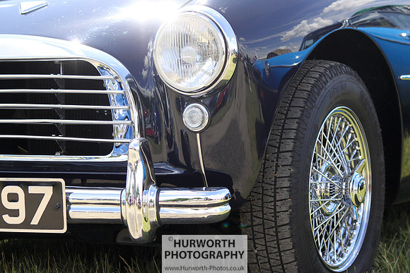 Sedgefield Game Fair 021