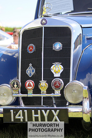 Sedgefield Game Fair 024