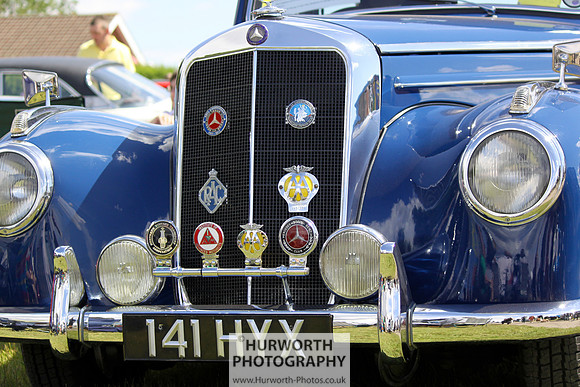 Sedgefield Game Fair 025