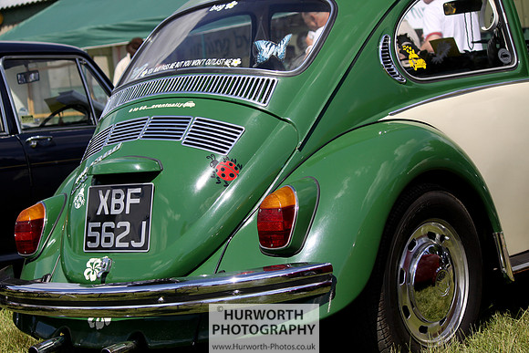 Sedgefield Game Fair 029