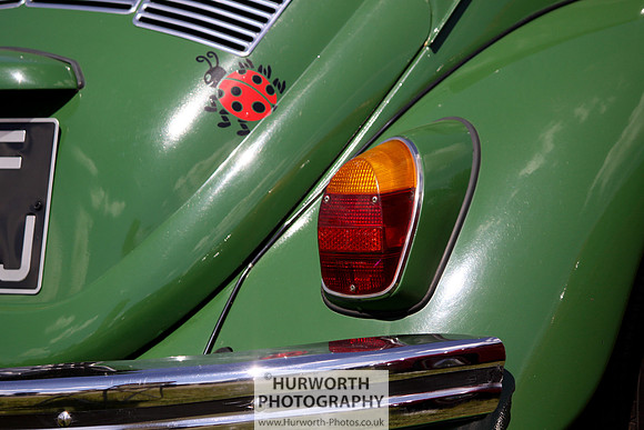 Sedgefield Game Fair 030