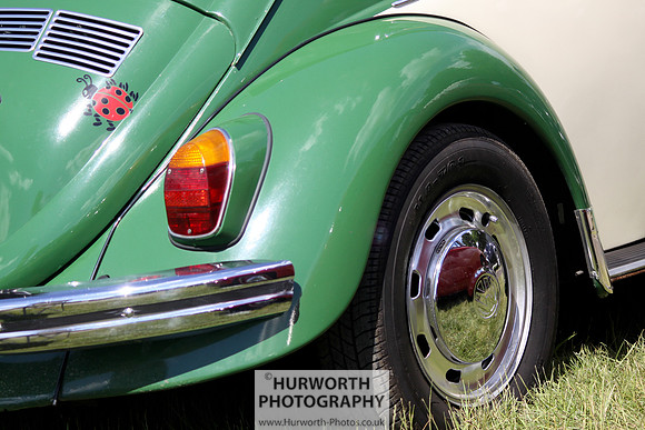 Sedgefield Game Fair 031