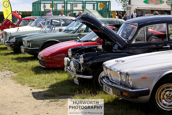 Sedgefield Game Fair 033