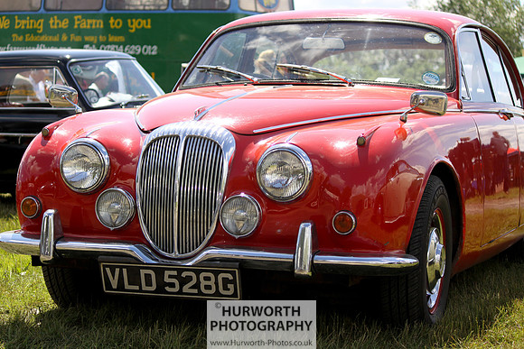 Sedgefield Game Fair 036