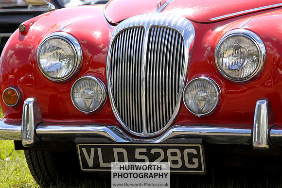 Sedgefield Game Fair 037