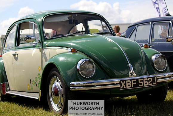 Sedgefield Game Fair 041