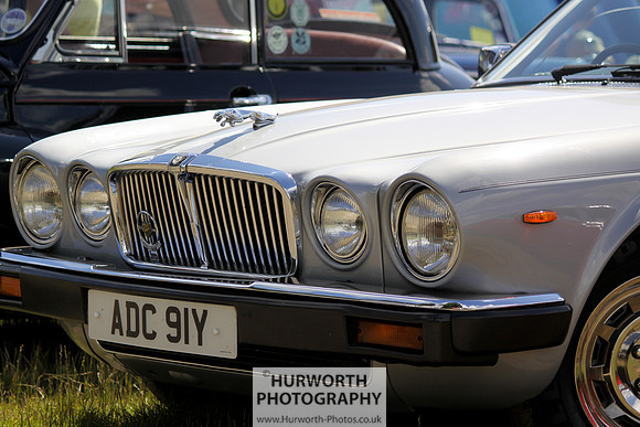 Sedgefield Game Fair 044