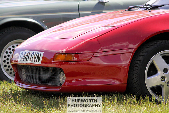 Sedgefield Game Fair 045