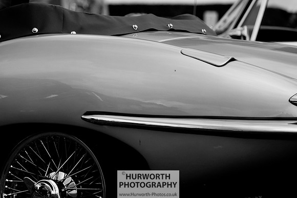 Sedgefield Game Fair 052