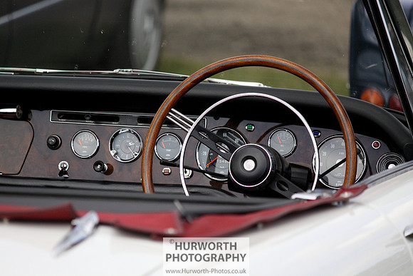 Sedgefield Game Fair 054