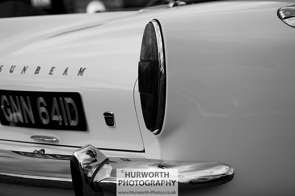 Sedgefield Game Fair 060