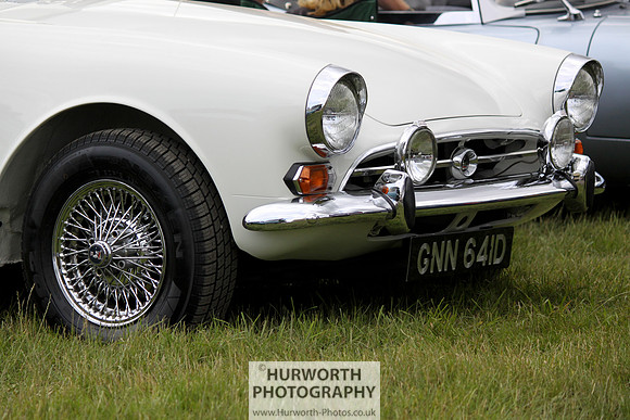 Sedgefield Game Fair 064