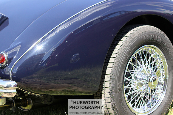 Sedgefield Game Fair 004