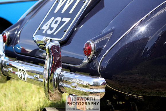 Sedgefield Game Fair 006