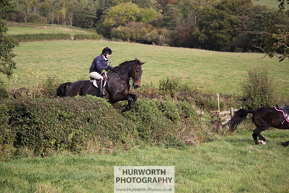 Hurworth Bilsdale Hedge Hop 666