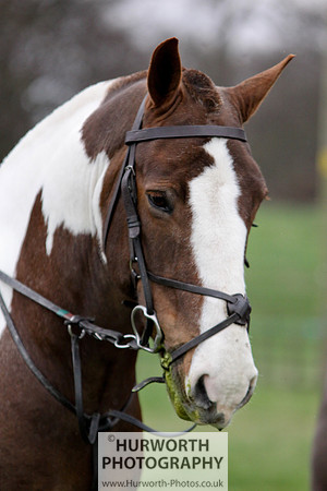 Hurworth Point to Point 049