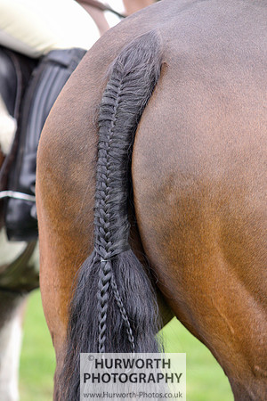 Hurworth Point to Point 063